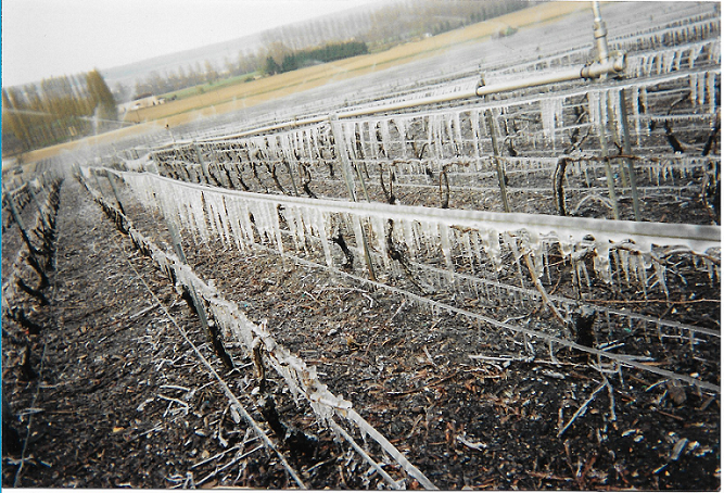 Exotisme vaudois (1/41) – Voyage au ras d'un sol de vigne qui