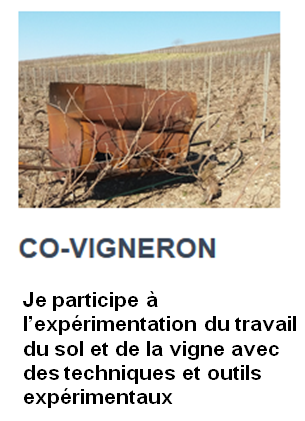 co vigneron