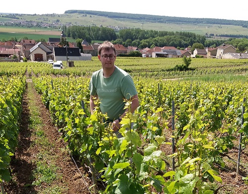 image charles relevage vigne Champagne Gabriel Boutet